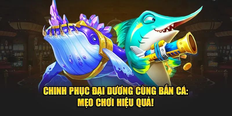 Bỏ túi những mẹo hay từ ngư thủ chuyên nghiệp để chơi vui thắng lớn