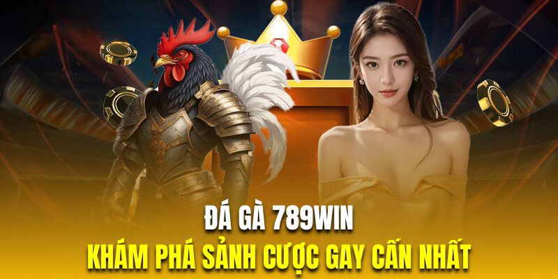 Đá gà 789Win - Trải nghiệm thế giới chọi gà đỉnh cao